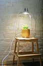 #趣味##工业设计#波兰 Lightovo 设计工作室设计的 Milo 吊灯最大的特点是有一个半开放式的玻璃灯罩，你可以把它当做一个迷你温室，把小型花盆放到里面，让灯光为植物生长提供能量。