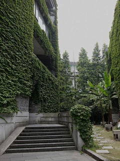 折落采集到国内外大学校园