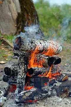 纵火罪,自然,垂直画幅,格子烤肉,无人,有机食品,易燃品,永远,特写,热