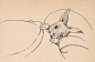 王葵安的相册-♫貓來信♢