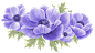 anemone-and-dahlia-flowers-clipart