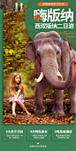 【源文件下载】 海报 旅游 云南 西双版纳 大象 人物 景点 风景设计作品 设计图集