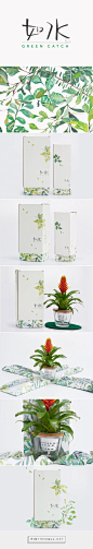 Green Catch plants packaging design by Box Brand Design (Hong Kong) - http://www.packagingoftheworld.com/2016/05/green-catch.html