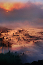 (7) Tumblr