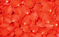宽屏花墙壁纸 第9张1920x1200桌面:艳丽红色花瓣
