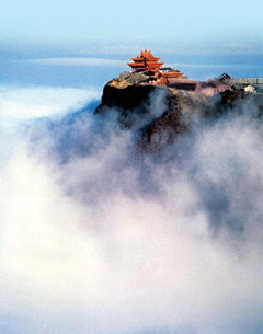 TiggerZ采集到旅游海报banner