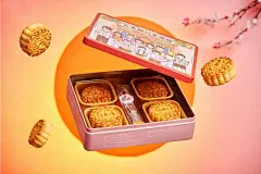 《外来媳妇本地郎》20周年限量版月饼 中秋 插画 包装 礼盒