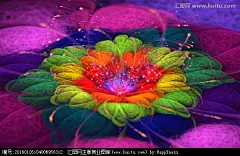 花朵抽象花朵鲜花背景纹理花朵墙贴幻彩炫彩花朵浪漫花朵花朵装饰画花朵背景墙梦幻花朵花朵壁纸墙纸唯美花朵盛开绽放漂亮美丽花朵花纹图案花卉分形花
