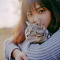 学姐和她的猫咪-torrent
