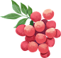 Canva独家插画 – Canva