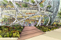 NBBJ’s Biodome for Amazon Approved by Seattle Design Board
