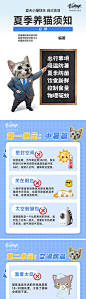 夏季养猫需知海报-源文件分享-ywjfx.cn