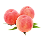 桃子 水蜜桃 水果