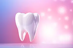 洁白健康人体医疗牙医口腔牙齿模型