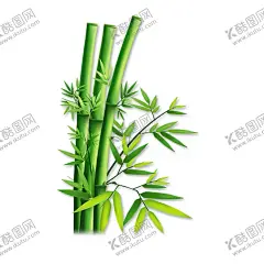 竹子 图片 竹叶 png  手 【酷图网】竹子,图片,竹叶,png,手绘,竹子翠竹,绿竹,竹枝,竹报平安,中国风,竹,竹子绘画,竹子矢量图,竹子墙贴,挂画插画,竹子手绘,竹林,竹笋,卡通竹笋,插画,植物,意境竹枝,竹影清风,竹子背景,手绘竹,绿色竹子,春天,插画竹子,手绘绿植,绿色植物,富贵竹,竹子素材,竹素材,