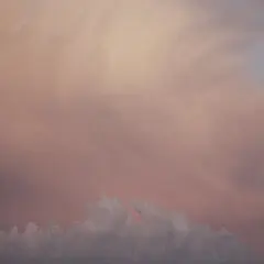 采集图片
