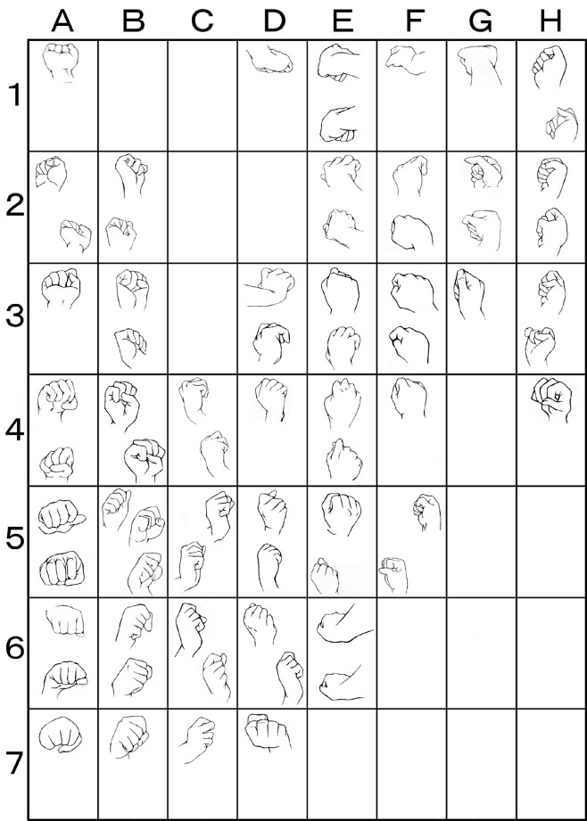 [转载]手部动作解析