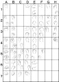 [转载]手部动作解析