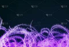 暗背景上干花的抽象背景