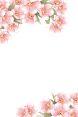 花素材 粉色的花 花