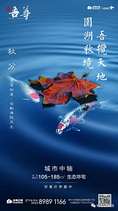 pama*采集到秋分
