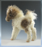 small fuzzy horse