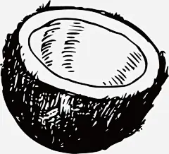 半个椰子矢量图高清素材 半个椰子 手绘 果肉 白色 简洁 矢量图 免抠png 设计图片 免费下载