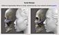 anatomy-for-sculptors-anatomy-for-sculptors-facial-flatness.jpg (1500×891)