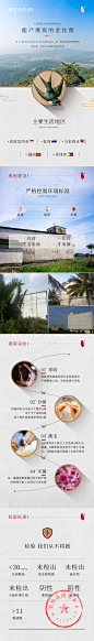 印尼燕窝详情页食品补品电子画册产品简介电商设计-古田路9号-品牌创意/版权保护平台