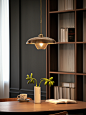 scottmary_the_pendant_light_sits_with_a_book_on_it_in_the_styl_e28d6c77-331a-4bf1-b503-9d4e0b982074.png (944×1264)