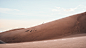 dunes Photography  Nature Landscape astrophotography Travel Colorado sand sand dunes
