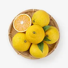 两鲜 FreshFresh.com | 浙江庆元甜桔柚 - 新鲜水果