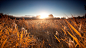 fields landscapes nature wallpaper (#2937036) / Wallbase.cc