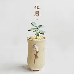 韩系手绘工艺陶瓷盆，手工绘制，精美刻花，出口品质，文艺范十足哦~