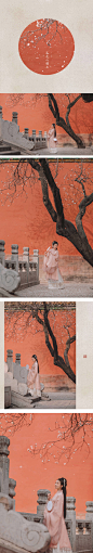 美女味汉服写真#古风，汉服# 

听说，这是故宫最美的一棵树。
三月，红墙与花树，「杏花疏影，落花人独立。」

出镜：@竹大宝Chiki 
摄影：@刘顺儿妞 ​​​​