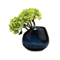 Blue Splendor Vase | dotandbo.com: 