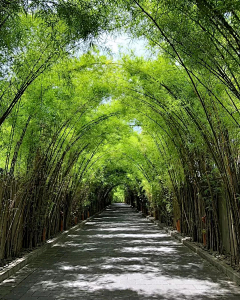 可爱的水深火热采集到景观道路