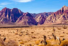 分享50个漂亮的双屏桌面壁纸资源（下篇） - 梦想天空（山边小溪） - 博客园