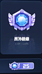 徽章2