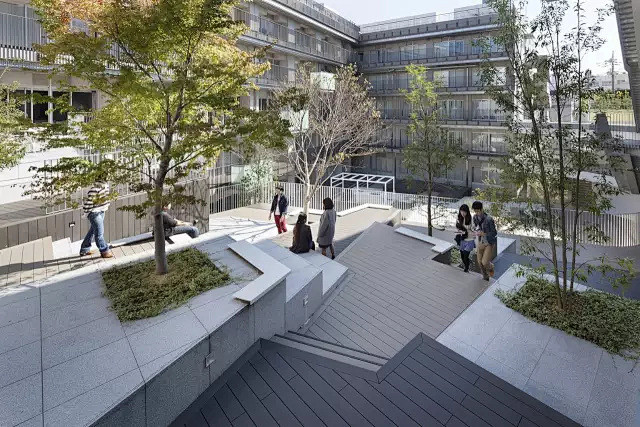 精致的大学校园景观