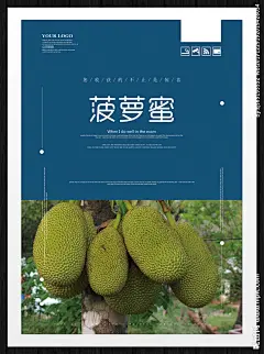 菠萝蜜 榴莲蜜 菠萝蜜干 水果 泰国菠萝蜜 水果海报 水果店 水果超市 水果展板 水果广告 水果蔬菜 蔬菜水果 菠萝 凤梨 台湾凤梨干 热带水果 新鲜水果 水果蛋糕 水果批发 水果挂图 水果画册 水果宣传册 采摘 进口水果 热带菠萝蜜 凤梨干 芒果干 干果 木菠萝 五谷杂粮 坚果 水果