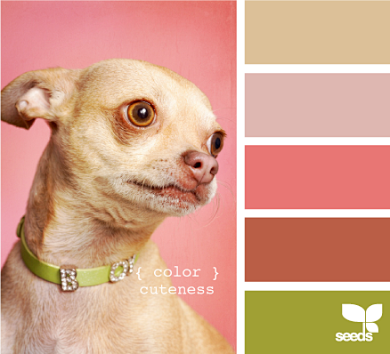 color cuteness