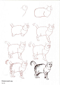画猫咪的入门线稿手绘教程