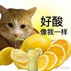 美少女跳跳虎啊采集到【表儿情包】