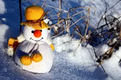 可爱的,雪人,春节,新年,贺卡,水平画幅,雪,明亮,植物