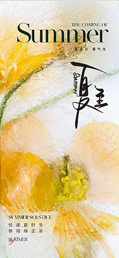 【素材能量站】海报 地产 节气 美业 夏至 夏天 夏季 清爽 凉爽  花卉 花朵 花 鲜花 唯美 清新 淡雅 热烈 热情 火辣|1041633 