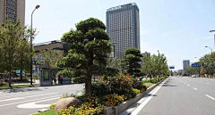 °zym采集到道路