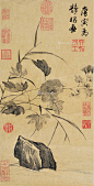 唐寅——花卉立轴欣赏  |  
明|唐寅(1470—1523)，字伯虎、子畏，以字行，号六如居士、桃花庵主、鲁国唐生、逃禅仙吏等，吴县(今江苏苏州)人。早学沈周、周臣，宗法李唐、刘松年，融会南北画派，笔墨细秀，布局疏朗，风格秀逸清俊。与沈周、文徵明、仇英并称“吴门四家”，又称“明四家”。书取法赵孟頫。诗文与祝允明、文徵明、徐祯卿并称“吴中四才子”。