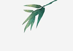 Udgsu_amp;采集到竹子