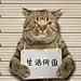 名字长了肯定会跟着念